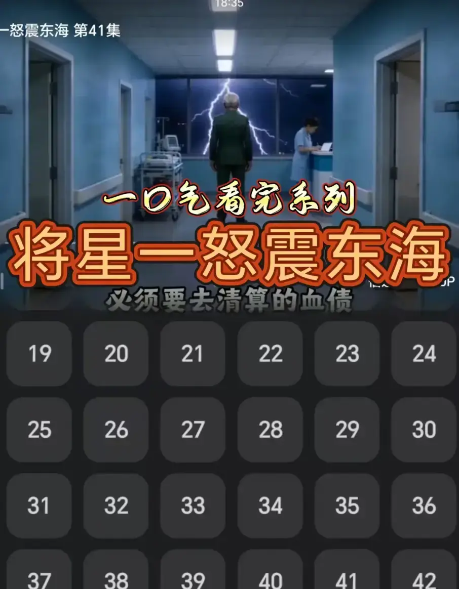 短剧《将星一怒震东海》42集全集免费高清在线观看-无广告网盘资源一键下载保存 以铁血丹心护海疆