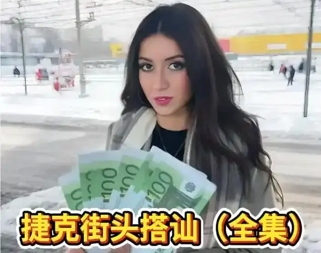 4K超清无广告《捷克街头系列》全季1-300集免费在线看-2026《捷克街头钞能力》HD高清完整版未删减_VS影视