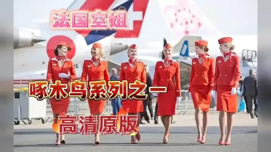 法国电影佳作《法国空姐》，免费畅享超高清画质，感受塞尔维亚飞行的魅力，法国空姐全集无删减在线看！