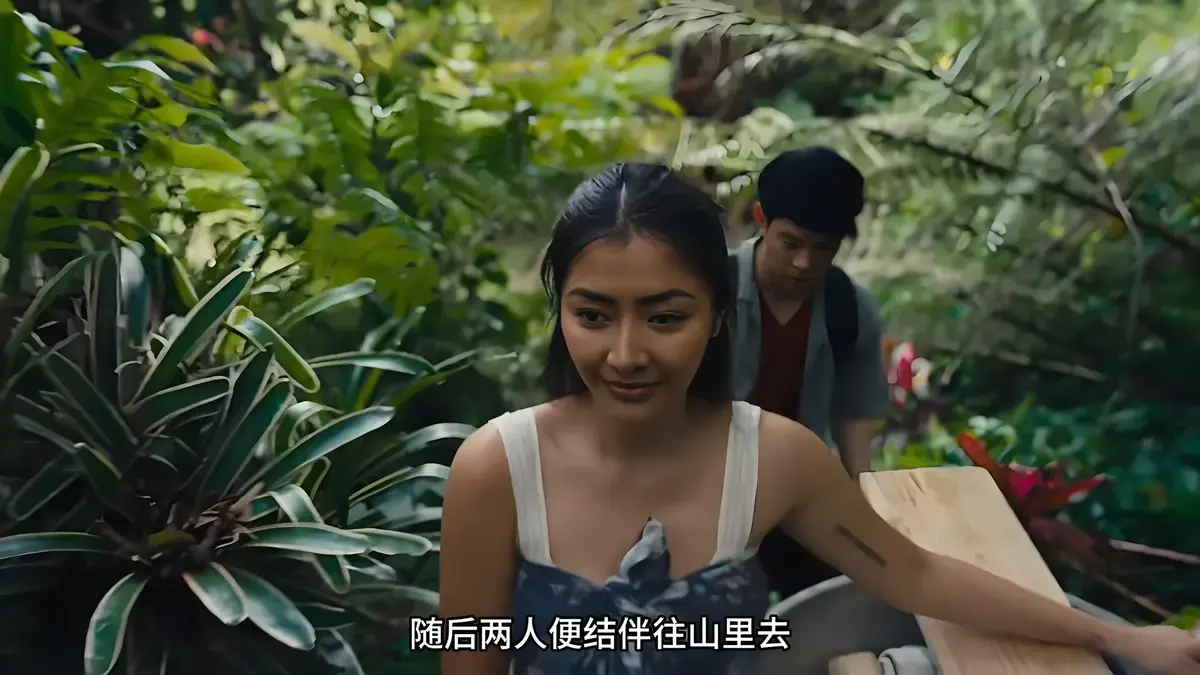 《迷情》