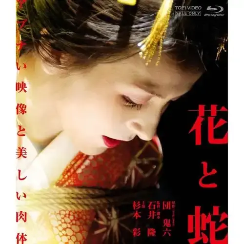 日本电影《花与蛇》全网首发高清资源-《花与蛇》日本剧情片国语无删减在线观看-《花与蛇》4K原画网盘下载-星辰影院免费看