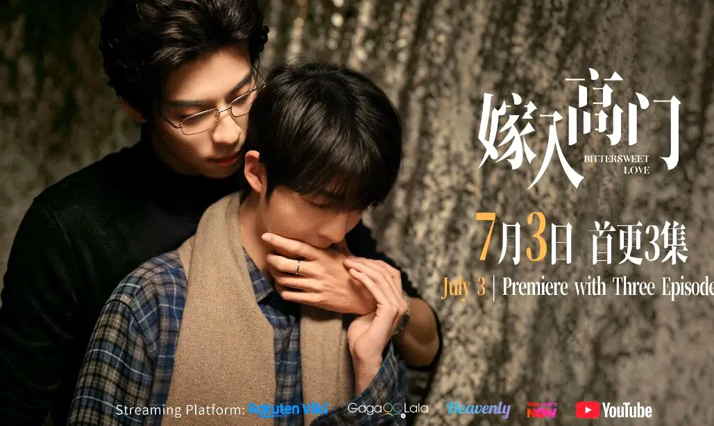 《嫁入高门的男人》22集HD高清完整版免费在线观看-新剧《嫁入高门的男人》双男主爱情剧流畅不卡顿持续有效