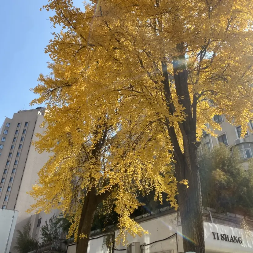 短剧《婚婚逢她》免费高清全集在线看-未删减完整版网盘资源分享-海城豪门联姻不卡顿播放